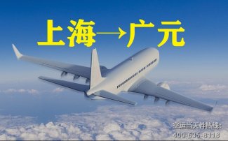 上海到廣元空運(yùn)_廣元當(dāng)天件