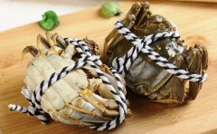 大閘蟹空運 當日達12元一公斤