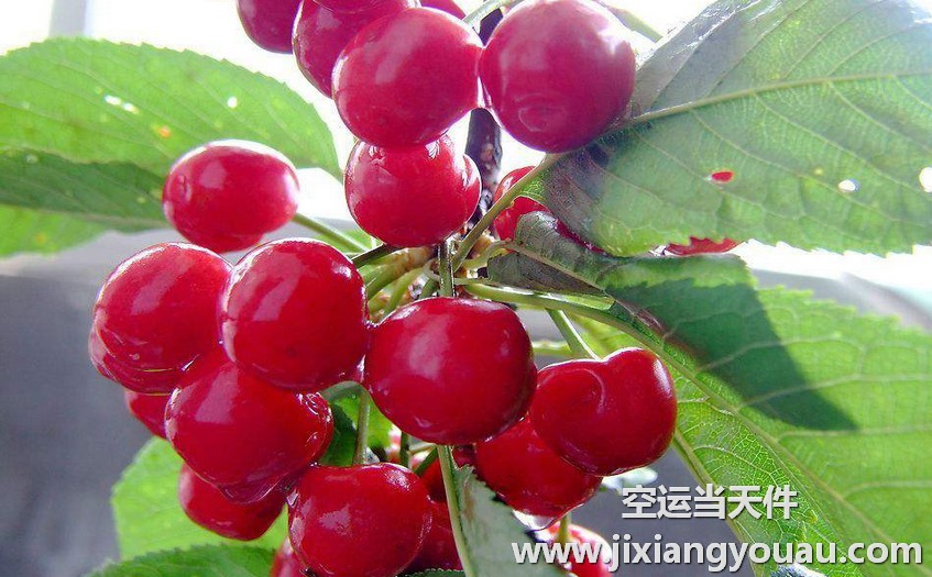 上海到泉州航空貨運