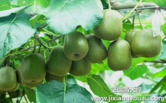 上海到海拉爾空運_特價直達航班